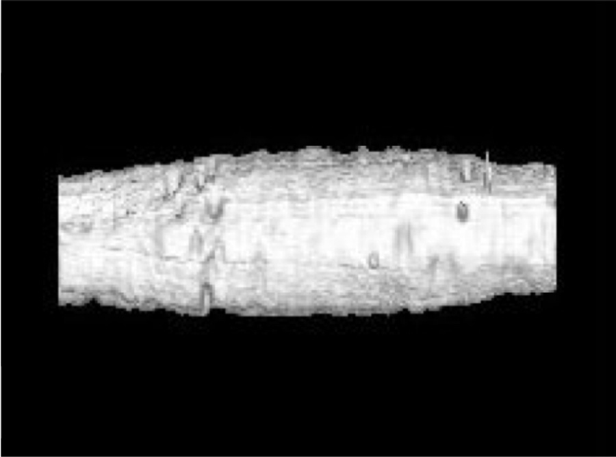 MicroAVSによる3次元形状表示